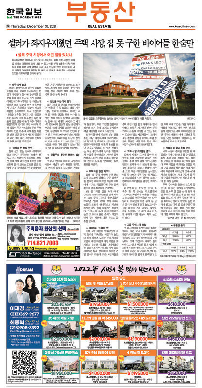 신문 이미지