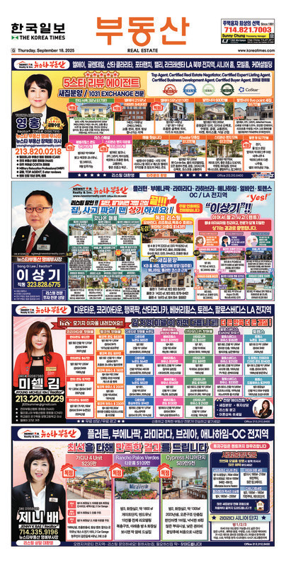 신문 이미지