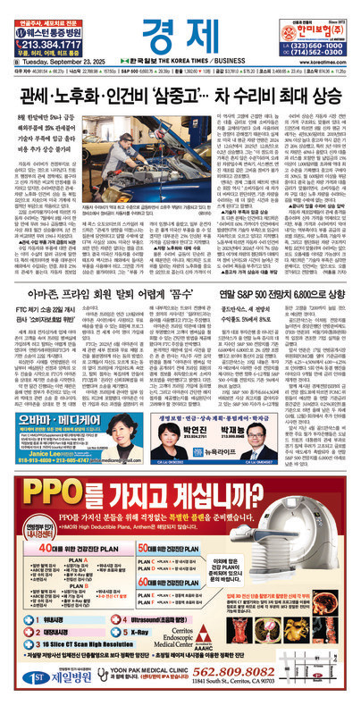 신문 이미지