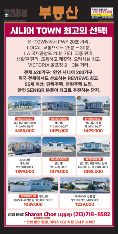 신문 이미지