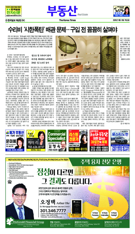 신문 이미지