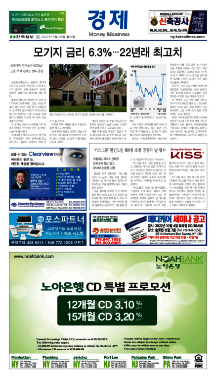 신문 이미지