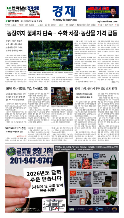 신문 이미지