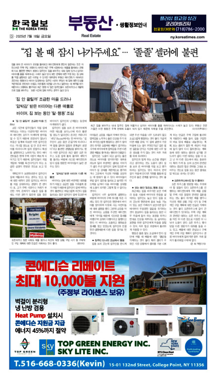 신문 이미지