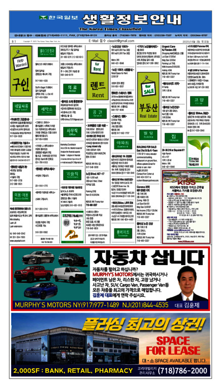 신문 이미지