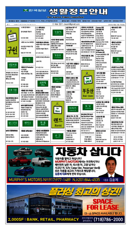 신문 이미지