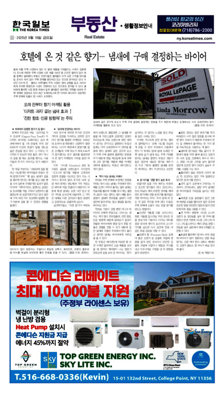 신문 이미지