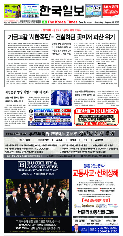 신문 이미지