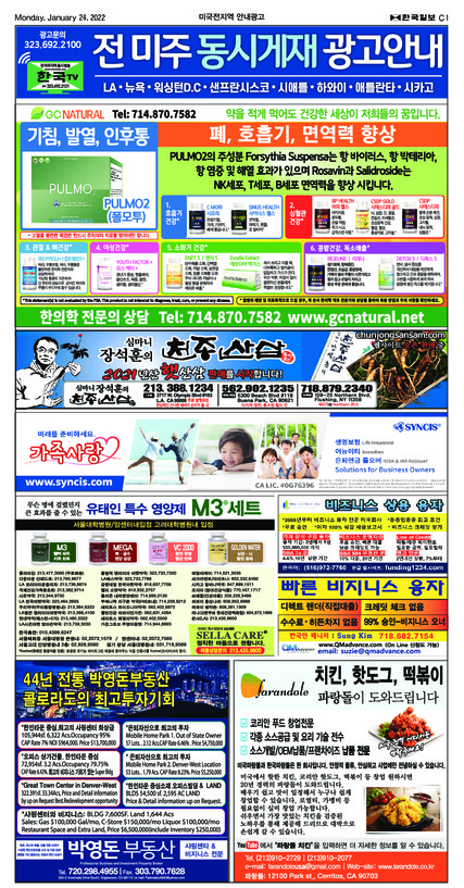 신문 이미지