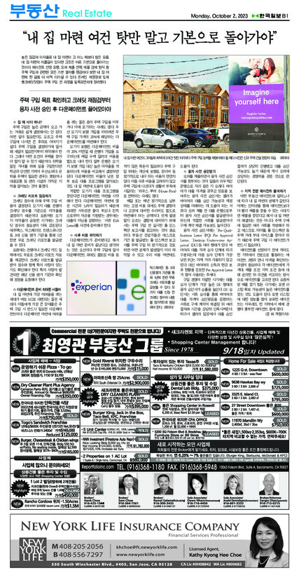 신문 이미지