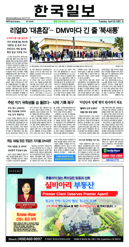 신문 이미지