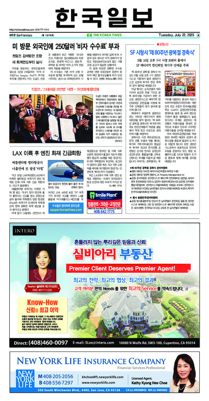 신문 이미지