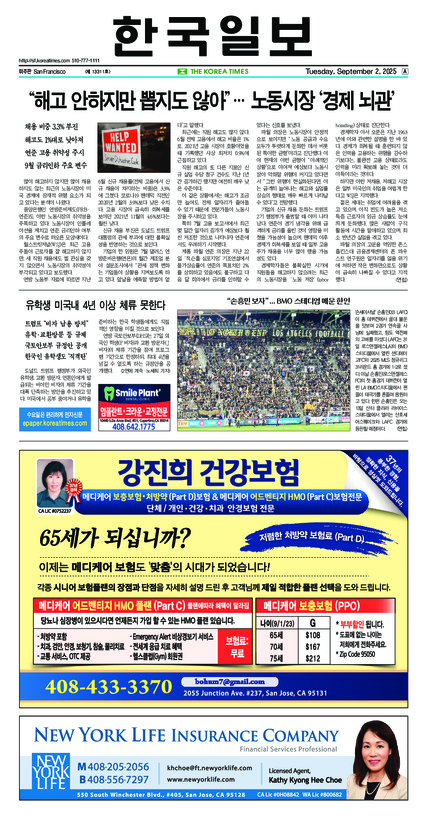 신문 이미지