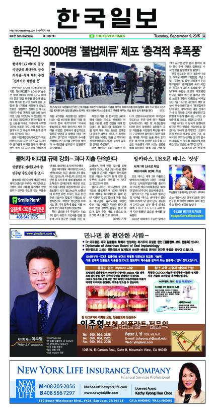 신문 이미지