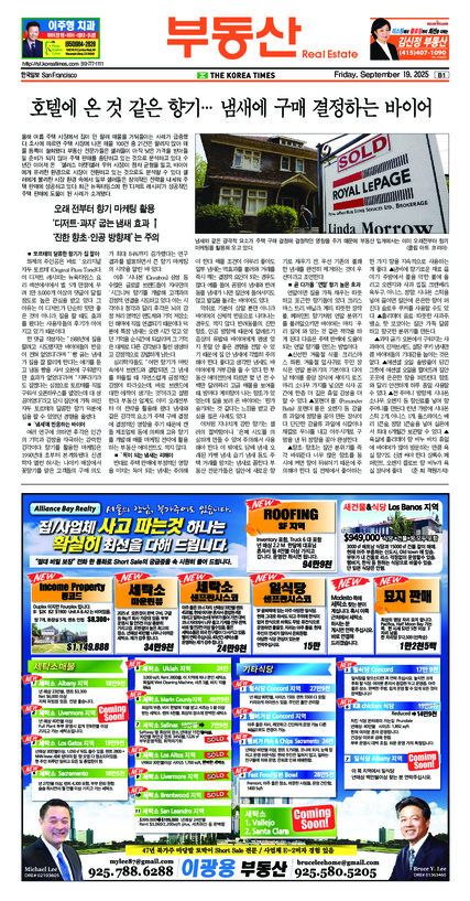 신문 이미지