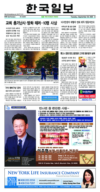 신문 이미지